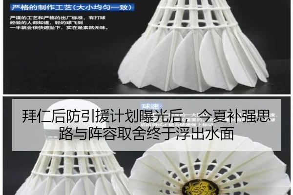 拜仁后防引援计划曝光后，今夏补强思路与阵容取舍终于浮出水面 - Kaiyun