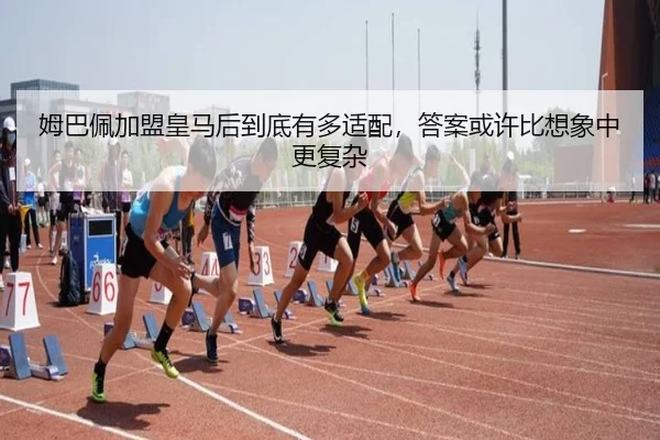 img_1782460808215_854_2_335.jpg